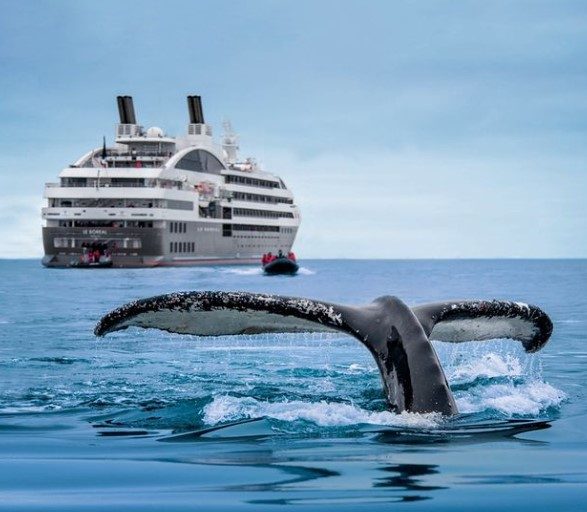 croisière-ponant-arctique